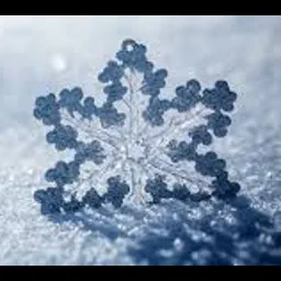 snowaway