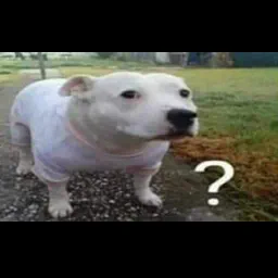 luowastaken