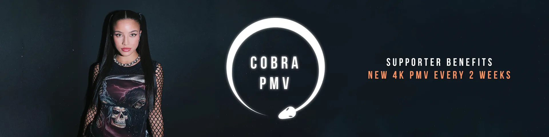 Profile banner