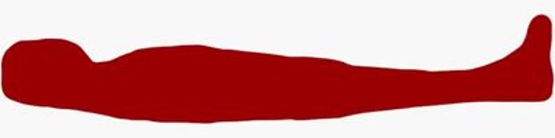 Profile banner