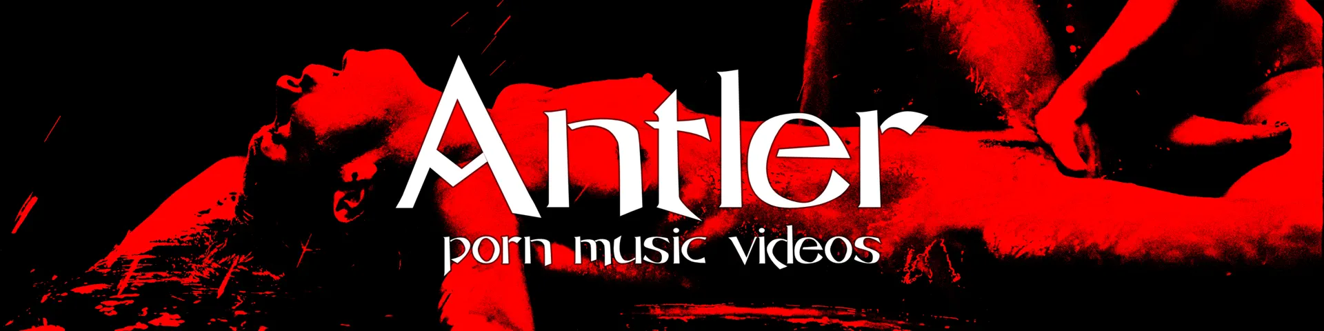 Profile banner