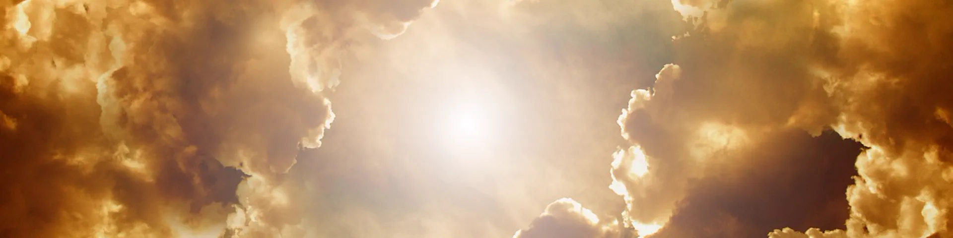 Profile banner