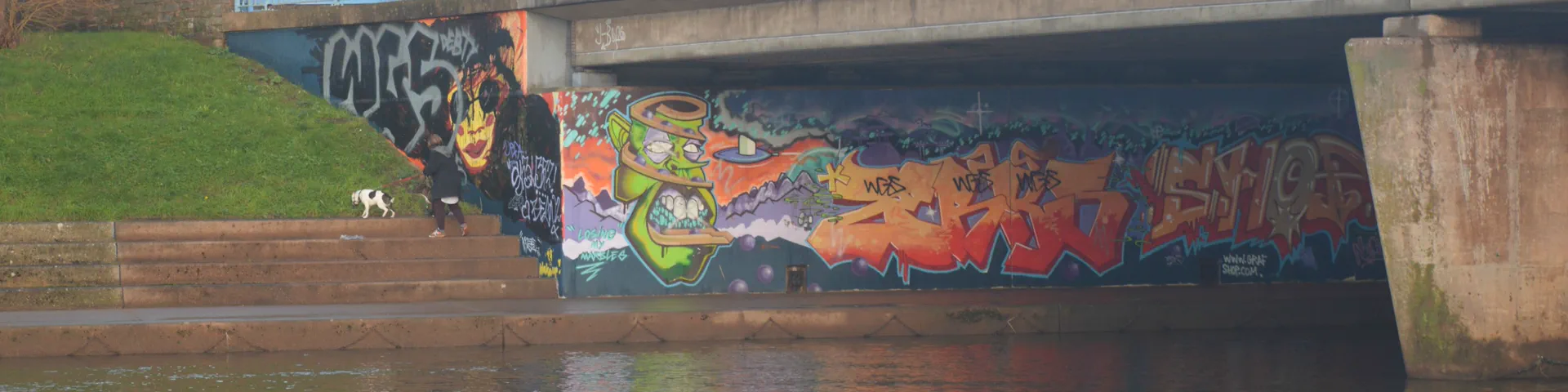 Profile banner