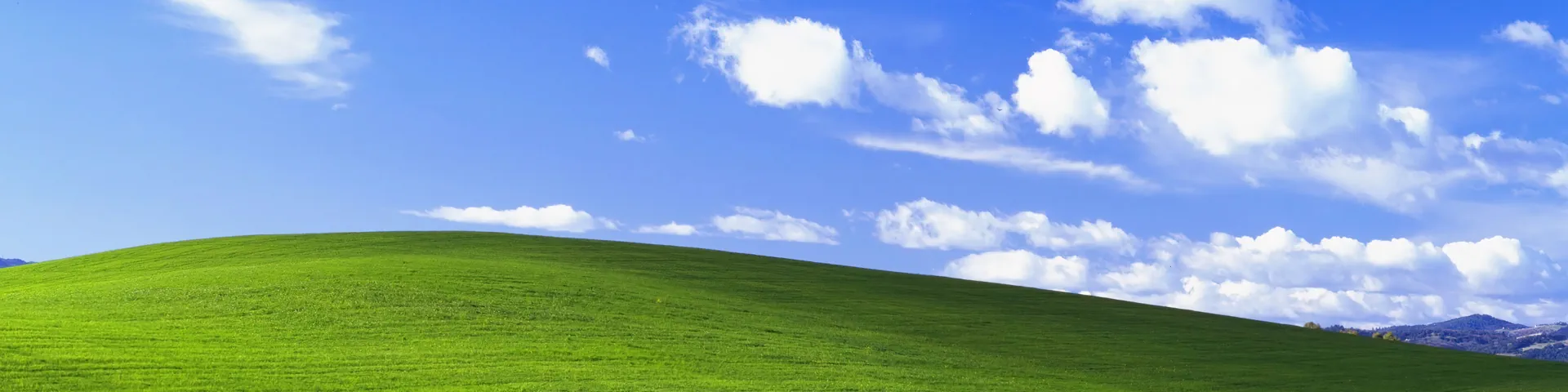 Profile banner