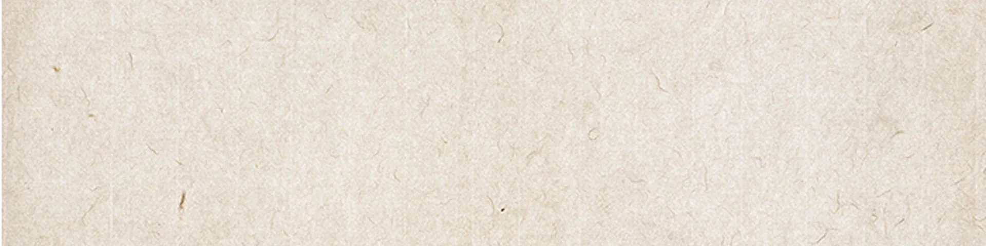 Profile banner