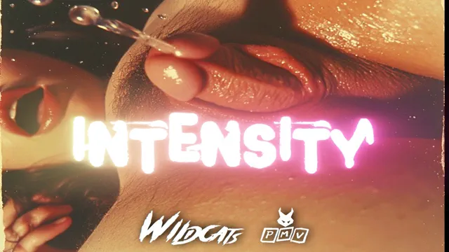 Wildcats PMV - Intensity (Breakbeat 2025 REDIT)