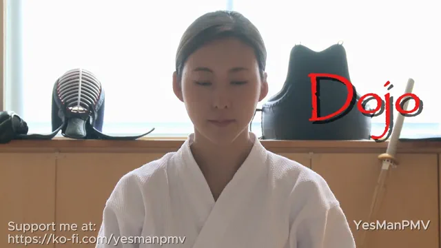 Dojo JAV PMV