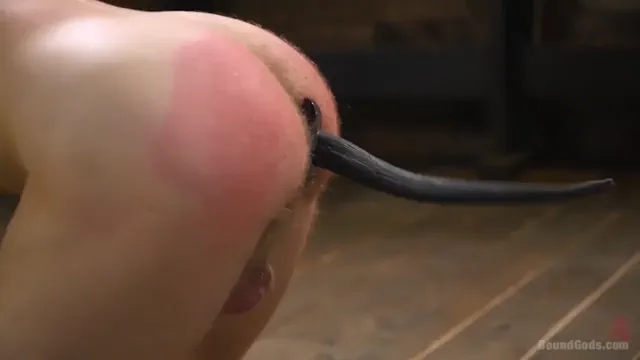 True Doggy Style - All Mixed Up