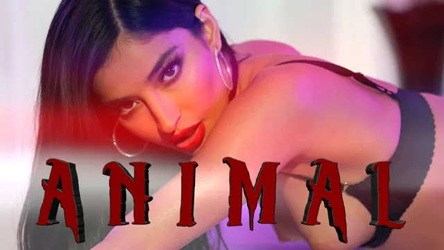 Animal