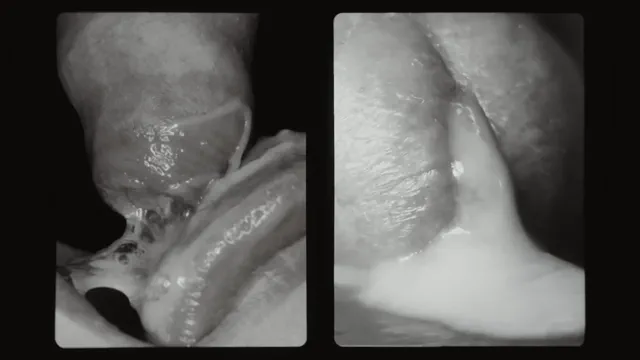 Two Sides, One Heat II: Dual Core Submission