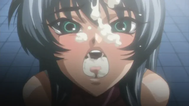 TAIMANIN ASAGI HMV "MEISTER Z！" IGAWA ASAGI