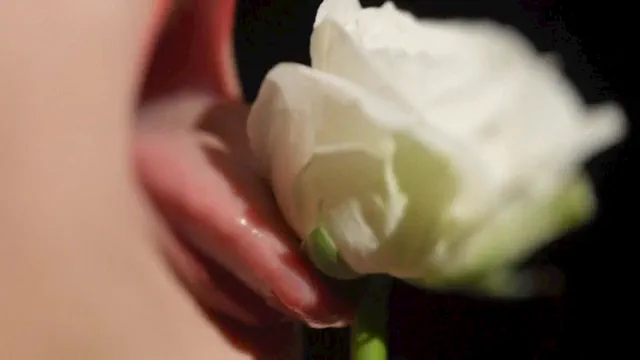 The Enchanting Juice - Queen of the Absolute