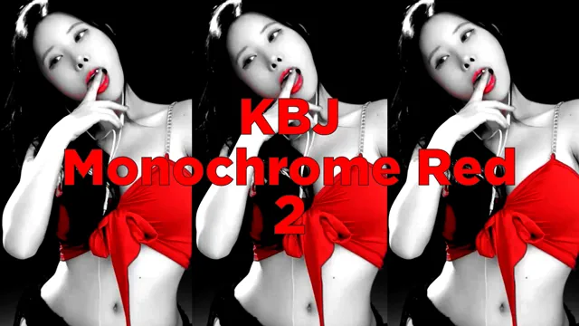Korean Bj-Monochrome Red-02