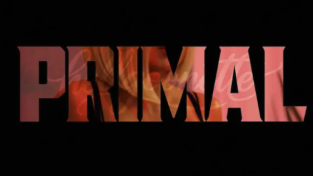 Video 2