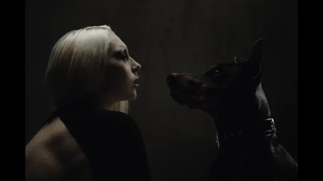 "Dog"-COBRAH