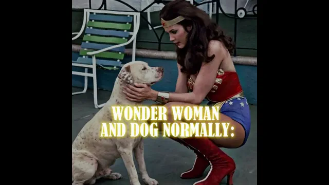 WONDER WOMAN AND THE DOG