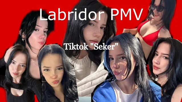 Video 3
