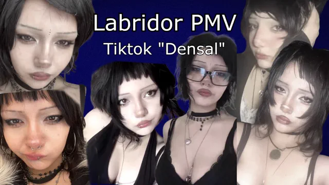 Tiktok "Densal" Goth PMV