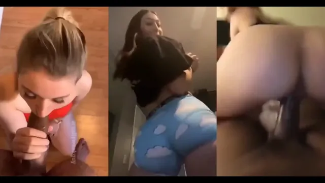 BBC BNWO PMV
