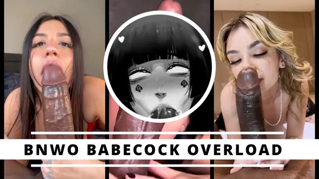 BNWO BABECOCK OVERLOAD