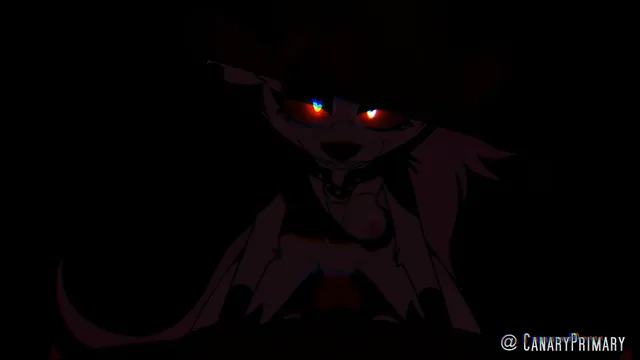 Video 4