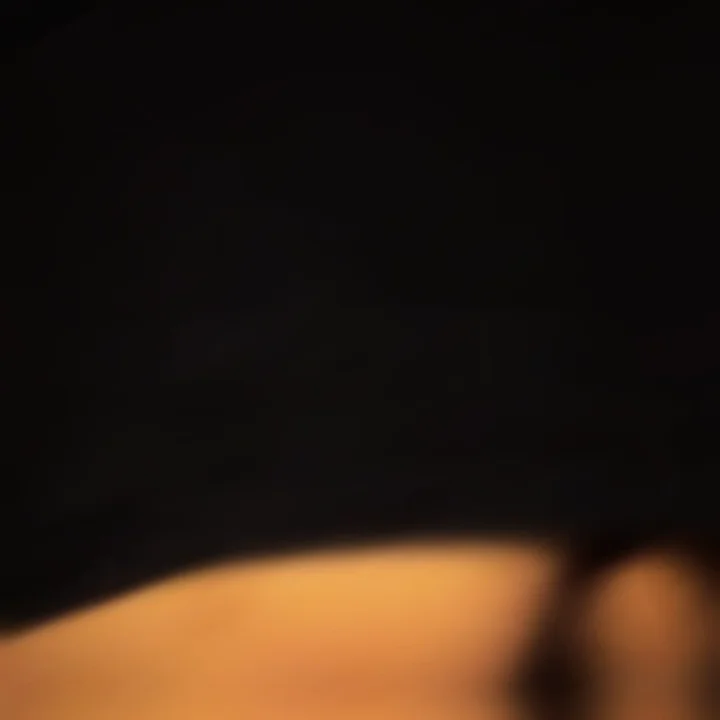 Thumbnail at 0:16