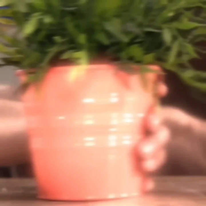Thumbnail at 0:04
