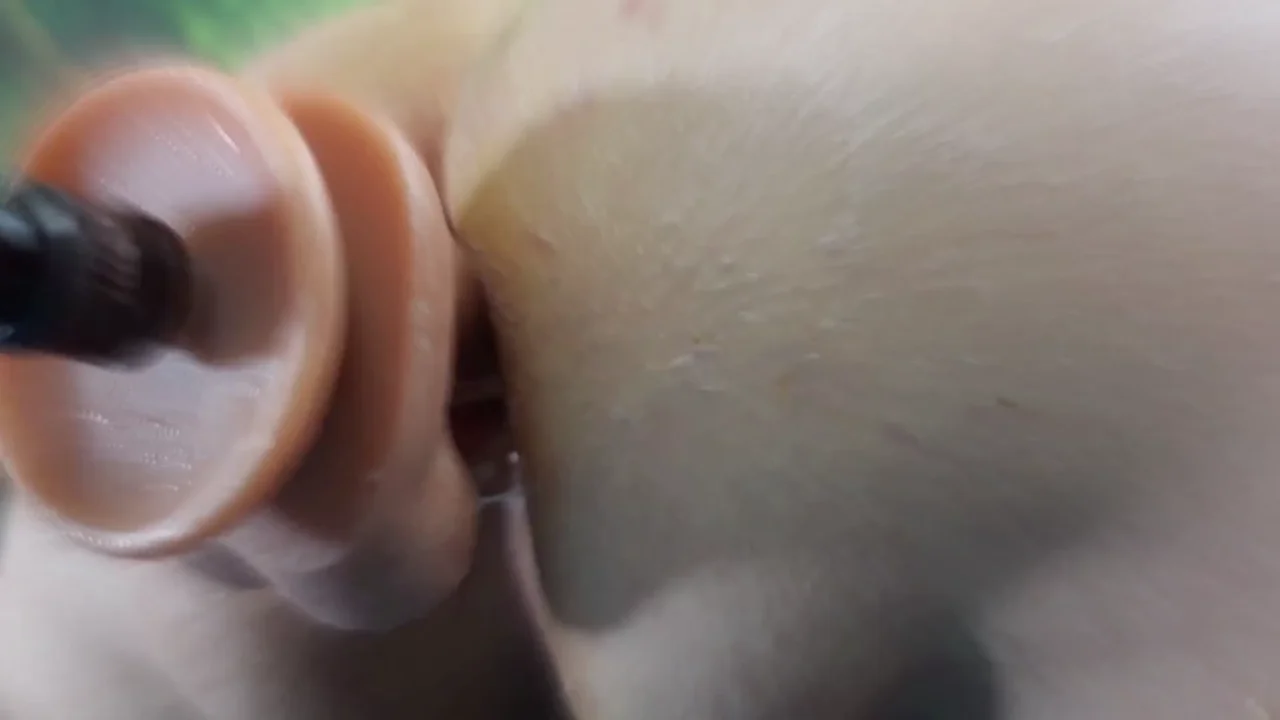 Thumbnail at 5:13