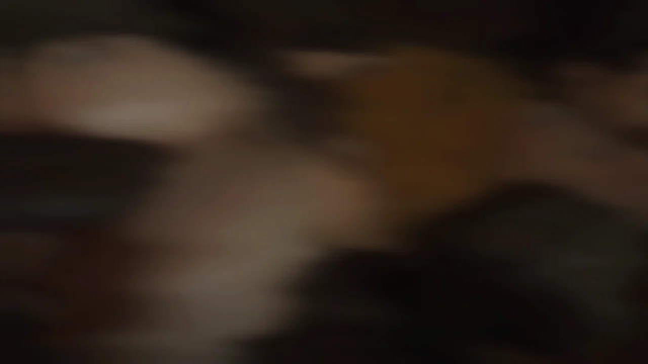 Thumbnail at 0:47
